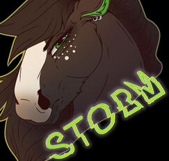 Storm
